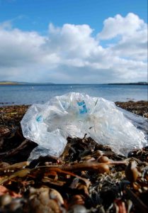 Plastic bag on shore.