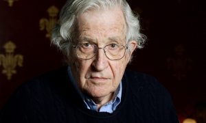 Noam Chomsky endorses the Plastic Oceans Foundation