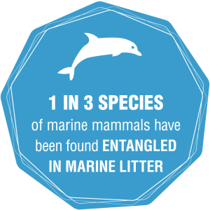 1 in 3 Species of marine mammals have been found entangled in marine litter