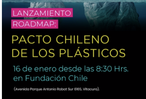 Pacto ChilenodeLos Plasticos