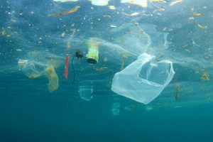 Contaminación plástica flotando en el agua