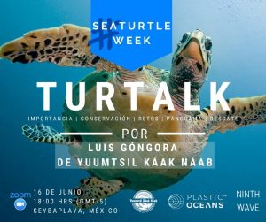 Turtalk: Sea Turtle Week