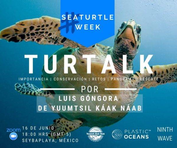 Turtalk: Sea Turtle Week Zoom Conference - Plastic Oceans International