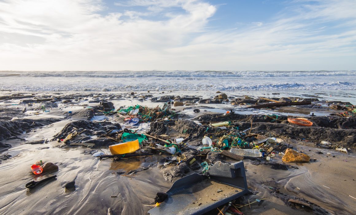 Make Canada Clean Again" Plastic Pollution is a common sight on Canada's remote coast.
