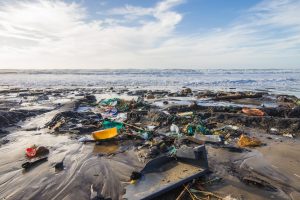 Make Canada Clean Again" Plastic Pollution is a common sight on Canada's remote coast.