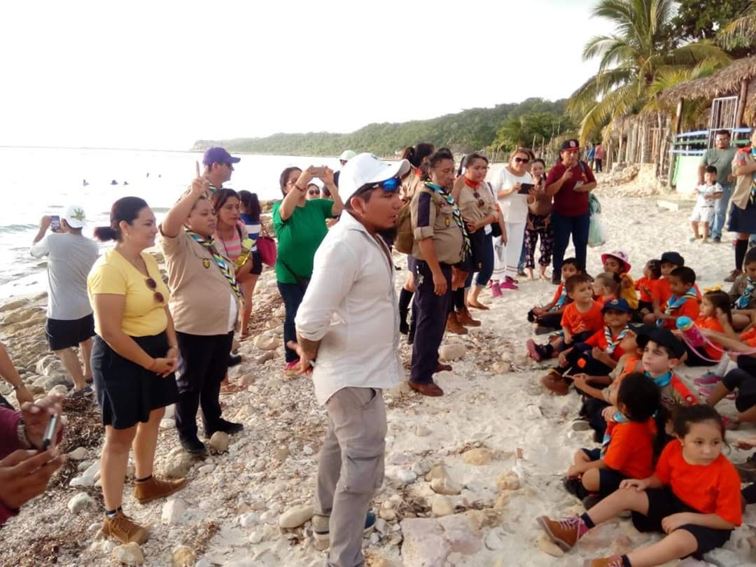 youth turtle education in mexico