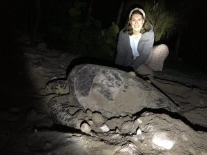 Woman with Hawksbill Sea Turtle