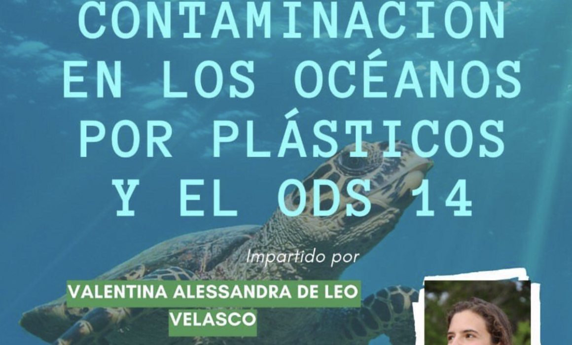 Contaminación en los Océanos por Plásticos y el ODS 14