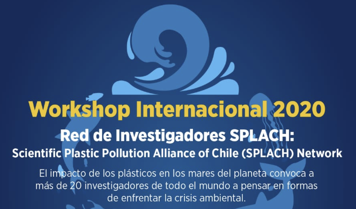 Workshop Internacional 2020: Red de Investigadores SPLACH