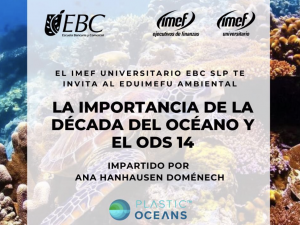 La Importancia de la Década del Océano y el ODS 14