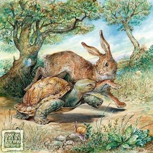 The tortoise and the hare turtle fable