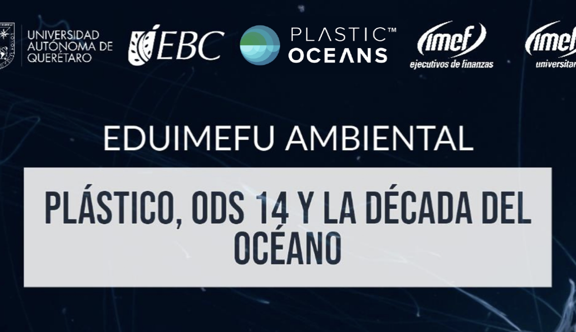 Plástico, ODS 14 y la Década del Océano
