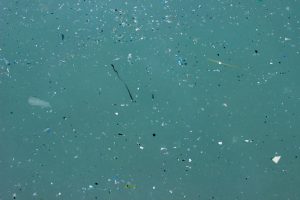 Microplastics in the ocean