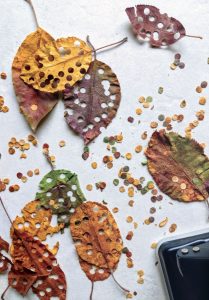 Leaf confetti from Living Without Plastic