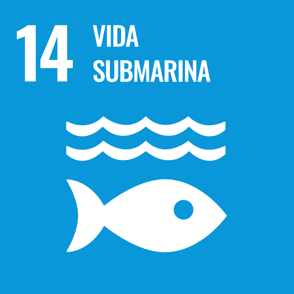 ODS 14- vida submarina