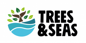Trees & Seas logo