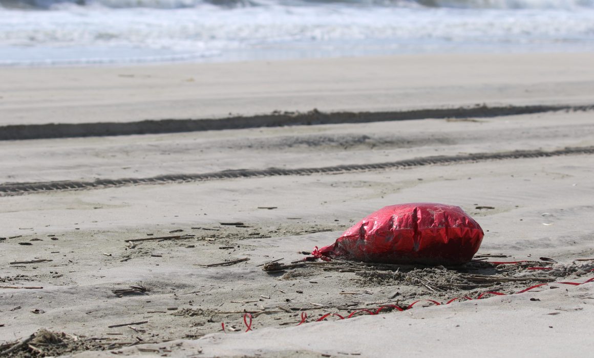 Valentine's Day: A deflated mylar balloon on the beach surf line on the Assateague OSV (over sand vehicle beach) in Assateague Island, Maryland April 18, 2019. (Ann Richardson)]