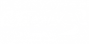 CONFLICT ISLANDS CONSERVATION INITIATIVE