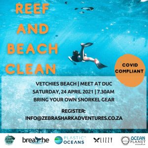 Reef Cleanup