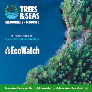 Trees & Seas ecowatch