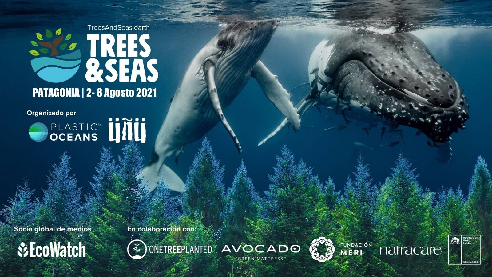 Trees and Seas Festival - Plastic Oceans International