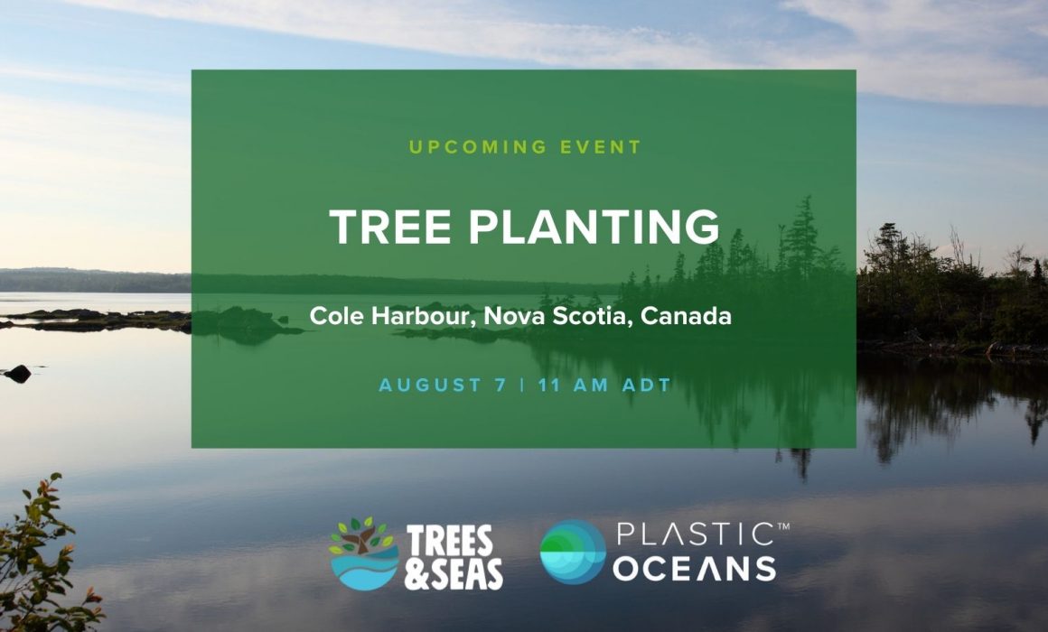 Tree Planting with Plastic Oceans Canada