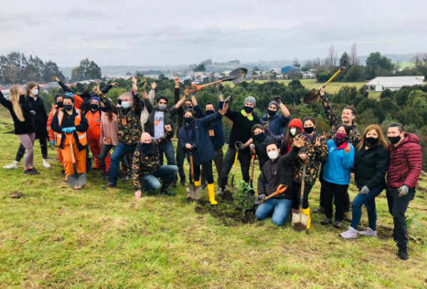 Tree Planting Chiloé