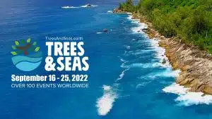 Trees & Seas 2022