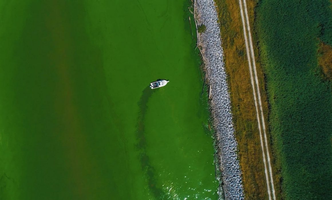 Lake Erie algal bloom