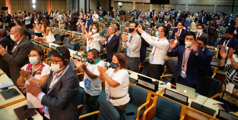 Standing Ovation during UNEA 5.2
