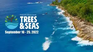 Trees & Seas 2022