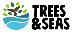 Logo trees & seas
