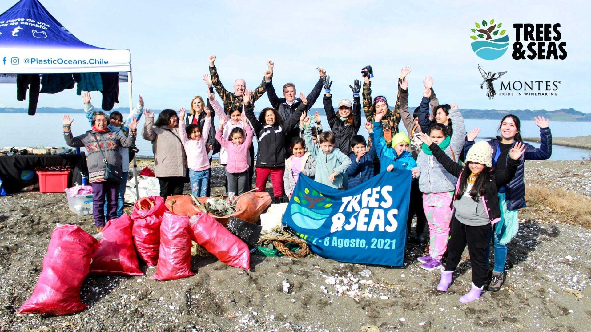 Beach cleanup in Chile for Trees & Seas