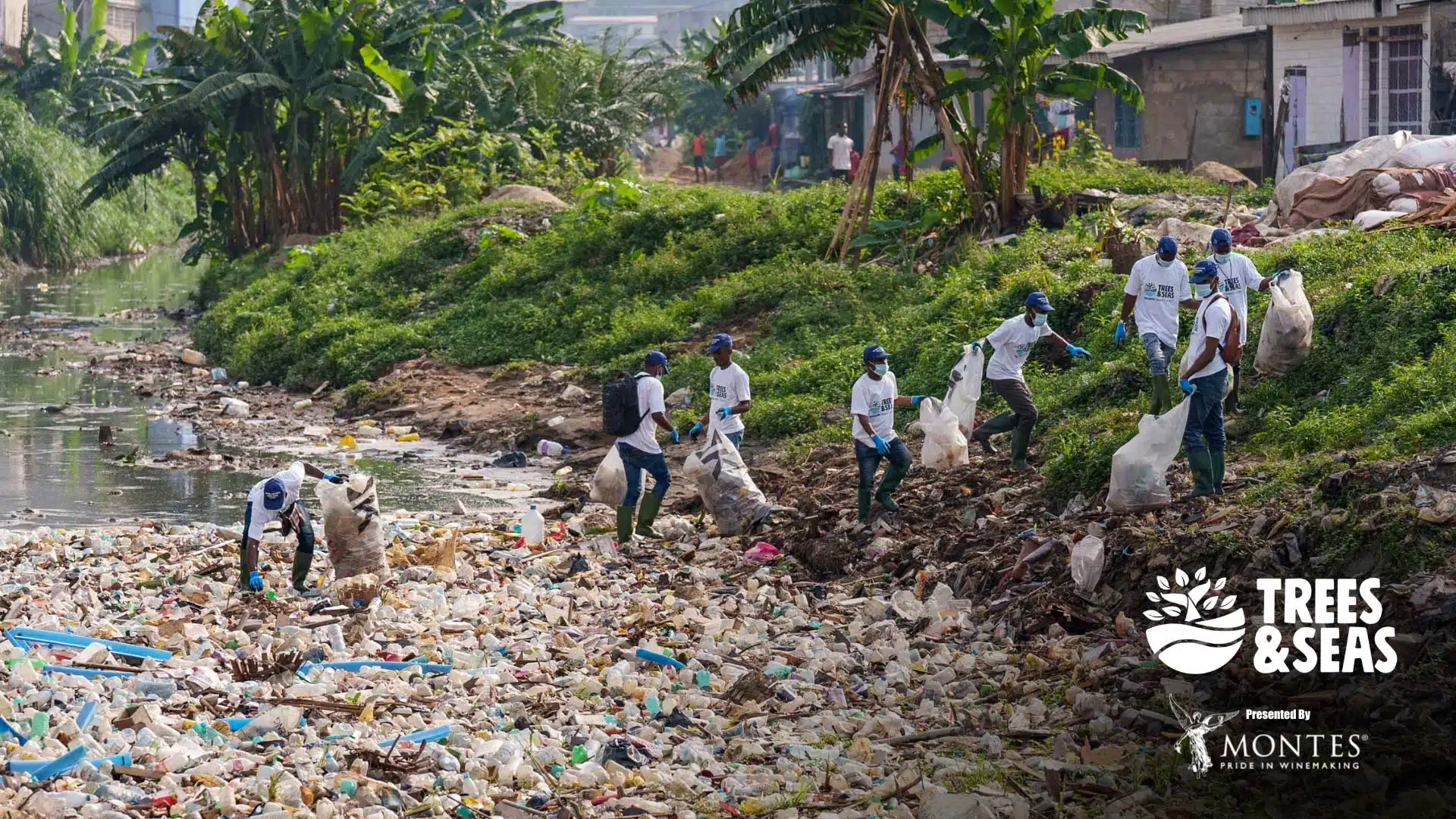 River cleanup in Douala Cameroon for Trees & Seas