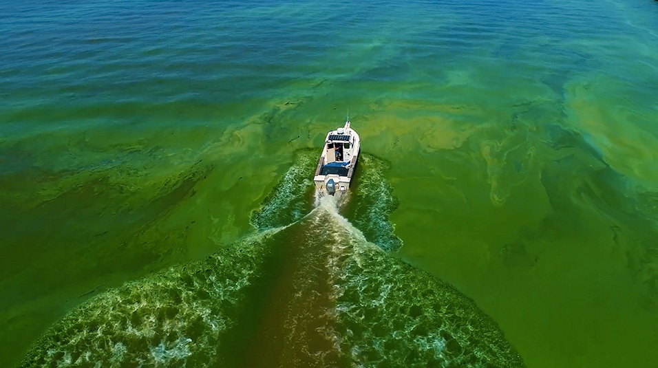 Boat in algal bloom