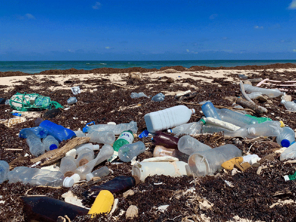 Plastic pollution on beach in Sian Ka'an, Mexico 